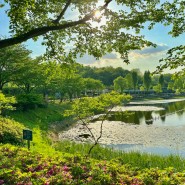 서울 당일 피크닉 장소 산책하기좋은곳 걷기좋은길 서서울호수 공원 추천 야외 데이트 산책로 갈만한곳 ❤️