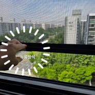 대전 방충망 만년동 해가든 아파트에 창문 프로젝트로 방충망 제작 설치