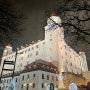 비엔나 근교 브라티슬라바성 야경보기 슬로바키아여행