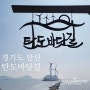 안산 9경 탄도바닷길 탄도항 안산 가볼만한 곳