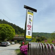 홍천 비발디파크 맛집 [농가맛집] 리뷰