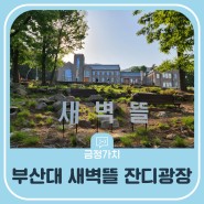 새롭게 재탄생한 부산대 박물관 앞 새벽뜰 잔디광장