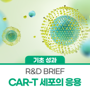 [NRF R&D BRIEF] CAR-T 세포의 의약학적 응용