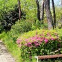 광주 서구 편안한 쉼터가 돼주는 죽림근린공원