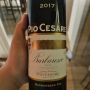 Pio Cesare, Barbaresco 2017 피오 체사레 바르바레스코