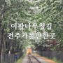 전주 여행 중 가볼만한곳 팔복동 이팝나무 철길 위치, 주차장