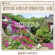 국내여행 - 꽃잔디와 사랑스런 정원이 있는 사찰 "대명사" 멋진 풍경에 웃음만발!!!