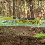 부산 남구 황령산 편백숲 대한민국 100대 명품산선정