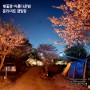 벚꽃캠핑 너무 예뻤던 밤, 문라이트 캠핑장