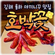 [김해 율하맛집] 분위기가 고급진 율하2지구 소고기 야끼니꾸 맛집 호박꽃 율하점 리뷰