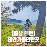 충남 태안 가볼만한곳으로 추천하는 안흥진성과 태국사