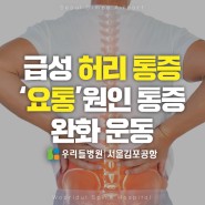 급성 허리 통증 '요통' 원인 통증 완화운동｜우리들병원 서울김포공항
