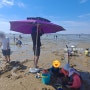 서울근교 대부도 방아머리 해수욕장 개인 파라솔 타프 가능한 바닷가(취사, 그늘막 텐트는?)