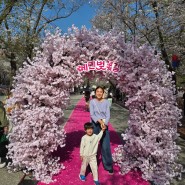 가평 에덴벚꽃길 벚꽃축제 (feat. 구암막국수)