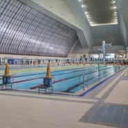 자유수영 일일수영 일요일에도 여는 서울 올림픽수영장 이용방법 및 후기