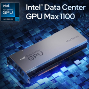 인텔 Data Center GPU Max 1100 48GB