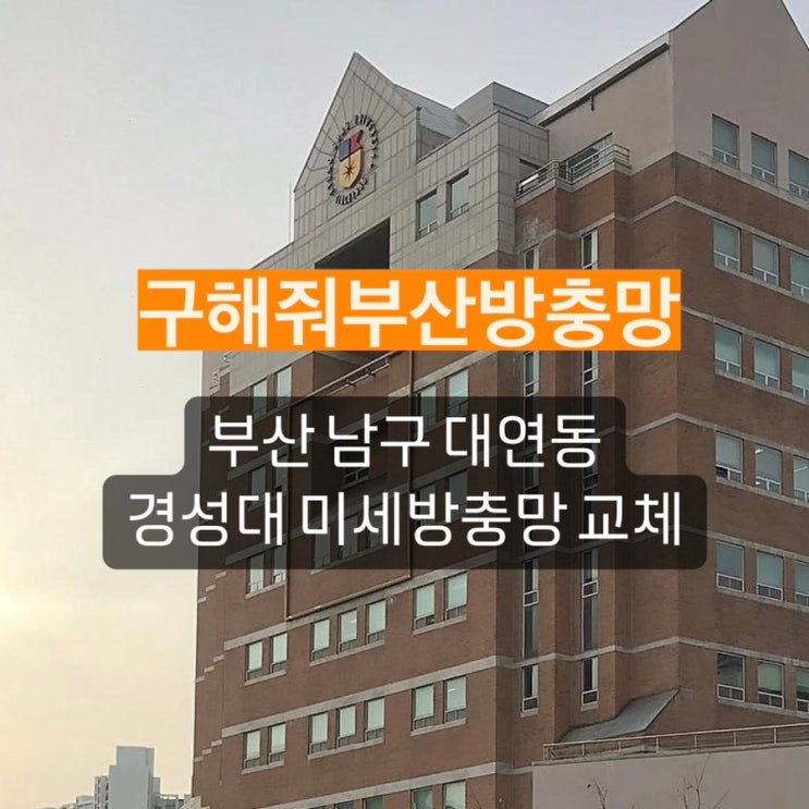 부산방충망 업체 구해줘부산방충망의 부산 남구 대연동 경성대학교 미세 방충망 교체 현장!
