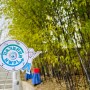 한국에서 열린 HWPL의 제8주년 평화 기념식, 세계 각국에서 평화의 메시지를 전하다