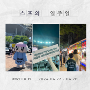 노는 게 가장 좋아✨ :: WEEK 17