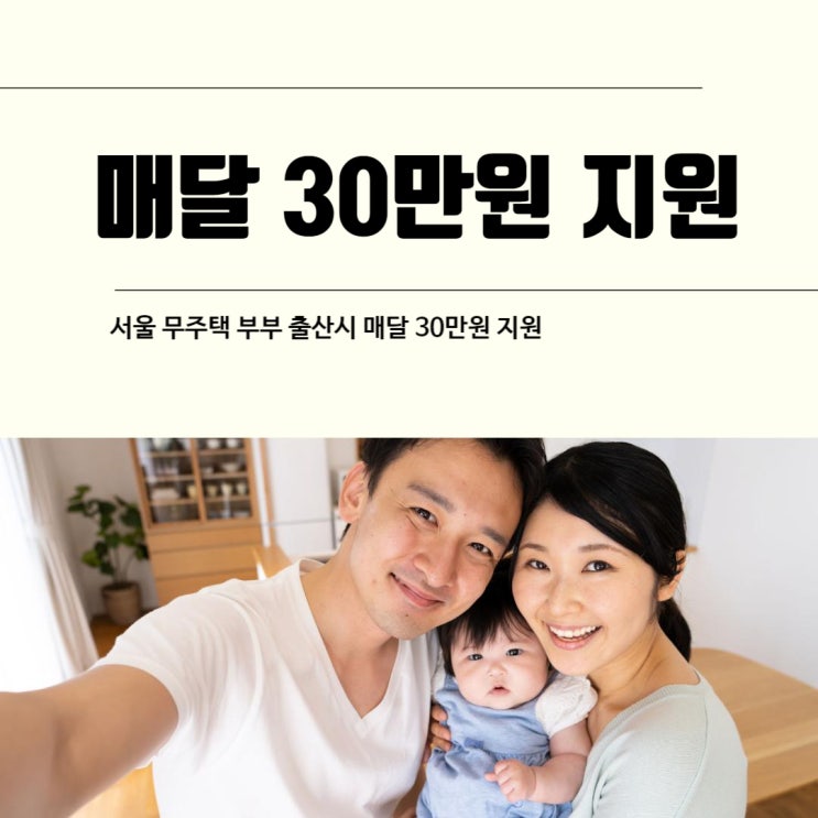 서울 무주택 부부 출산 시 매달 30만 원 지원 소득 나이 불문 최대 2년 : 네이버 블로그