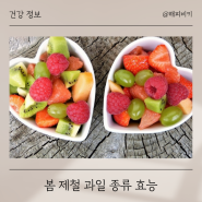 봄 제철 과일 종류와 효능 (딸기·한라봉·참외)