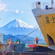 시즈오카 여행:: '스루가만페리(駿河湾フェリー)'의 화려한 변신!