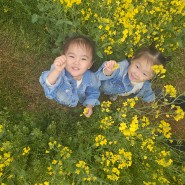 4월일상 4_유채꽃,놀이터도장깨기,캠핑