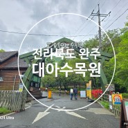 전북 완주 가족 나들이하기 좋은 곳 대아 수목원 자연과 영산홍 굿!