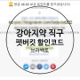 강아지약 브라벡토 펫버킷 직구 가입하는법 할인코드 공유(X)