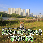 동탄 강아지랑 가볼만한곳 / 동탄호수공원 가족사랑축제 2024루나쇼 5월일정