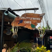 라오스 루앙프라방 브런치 맛집 투리틀버드 two little birds cafe