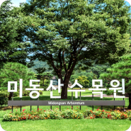 어린이날 맞이 아이와 가볼만한 곳 청주 미동산 숲과의 만남