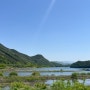 [국내여행] 전북 진안-금산여행 당일치기 가볼만한 곳