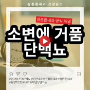 소변에 거품 단백뇨 어떤 질환을 의미할까요?