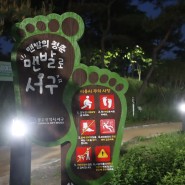 광주 서구 데이트하기 좋은곳 조각공원 맨발걷기