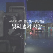 제주아이와갈만한곳 성산 핫플 투어 빛의 벙커 샤갈