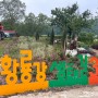 광산구봄나들이 황룡강 생태길 30 서봉친수지구 테마정원
