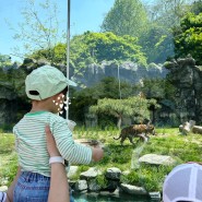 서울랜드 동물원 코스와 주차장 도시락 소풍
