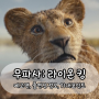 무파사: 라이온 킹 티저 예고편 출연진 줄거리 정보 기대포인트