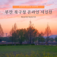 부산 북구 평생학습관 꽃길따라 열두달 여행 온라인 사진전