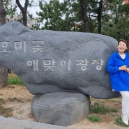 파파야의 스토리가 있는 힐링여행, 시즌 2 , 7회 포항 울산