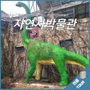 남양주 아이와 가볼만한곳 우석헌자연사박물관 다양한 전시