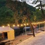 대이산숲속캠핑장 가오픈 안성 캠핑장 가까움 더하기