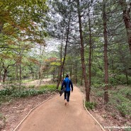 북한산 체험형 숲속쉼터 맨발 산책로