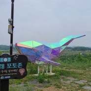 대전 대덕구, 대청호 고래 날다.