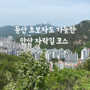 안산 자락길(둘레길) 코스 추천, 홍제천-메타세콰이어-봉수대-서대문 형무소