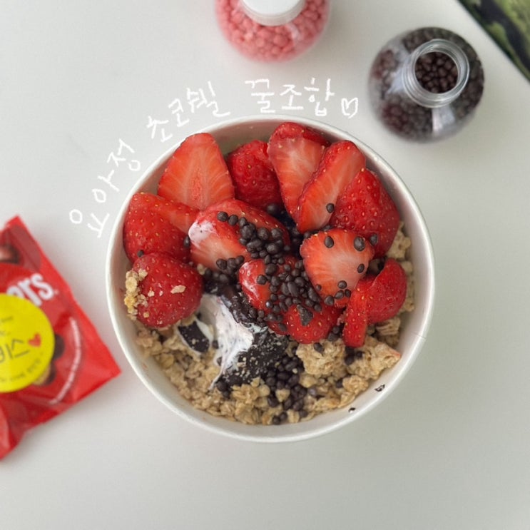 요거트 아이스크림의 정석 요아정 초코쉘 꿀조합 추천 : 네이버 블로그