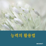 능력의 활용법