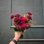 창원꽃집에서 만나는 특별한 순간, 엘더플라워의 아름다운 선물