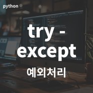 #python try - except Exception e 구문